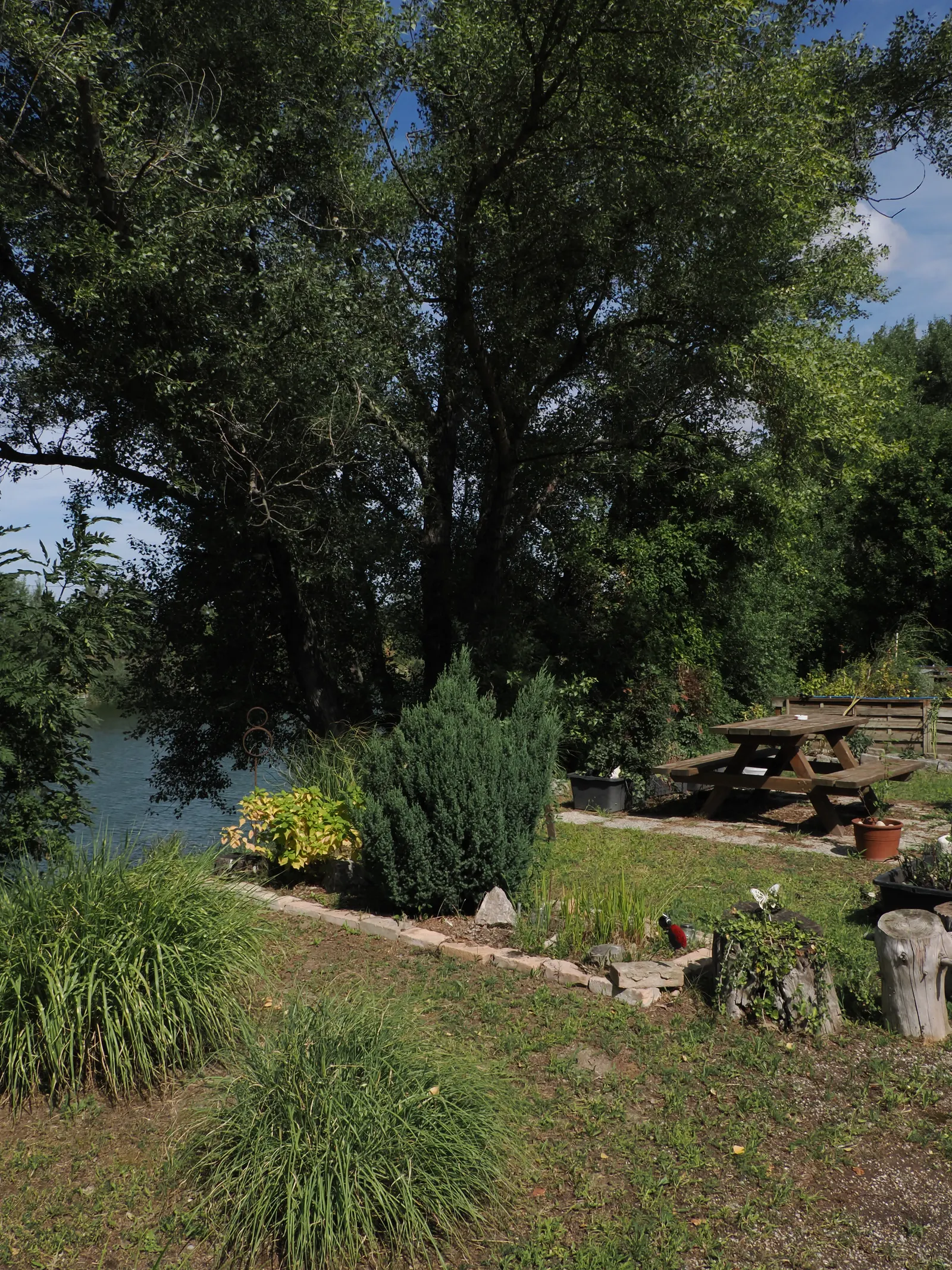 Garten und Teich beim Gasthaus Hödl
