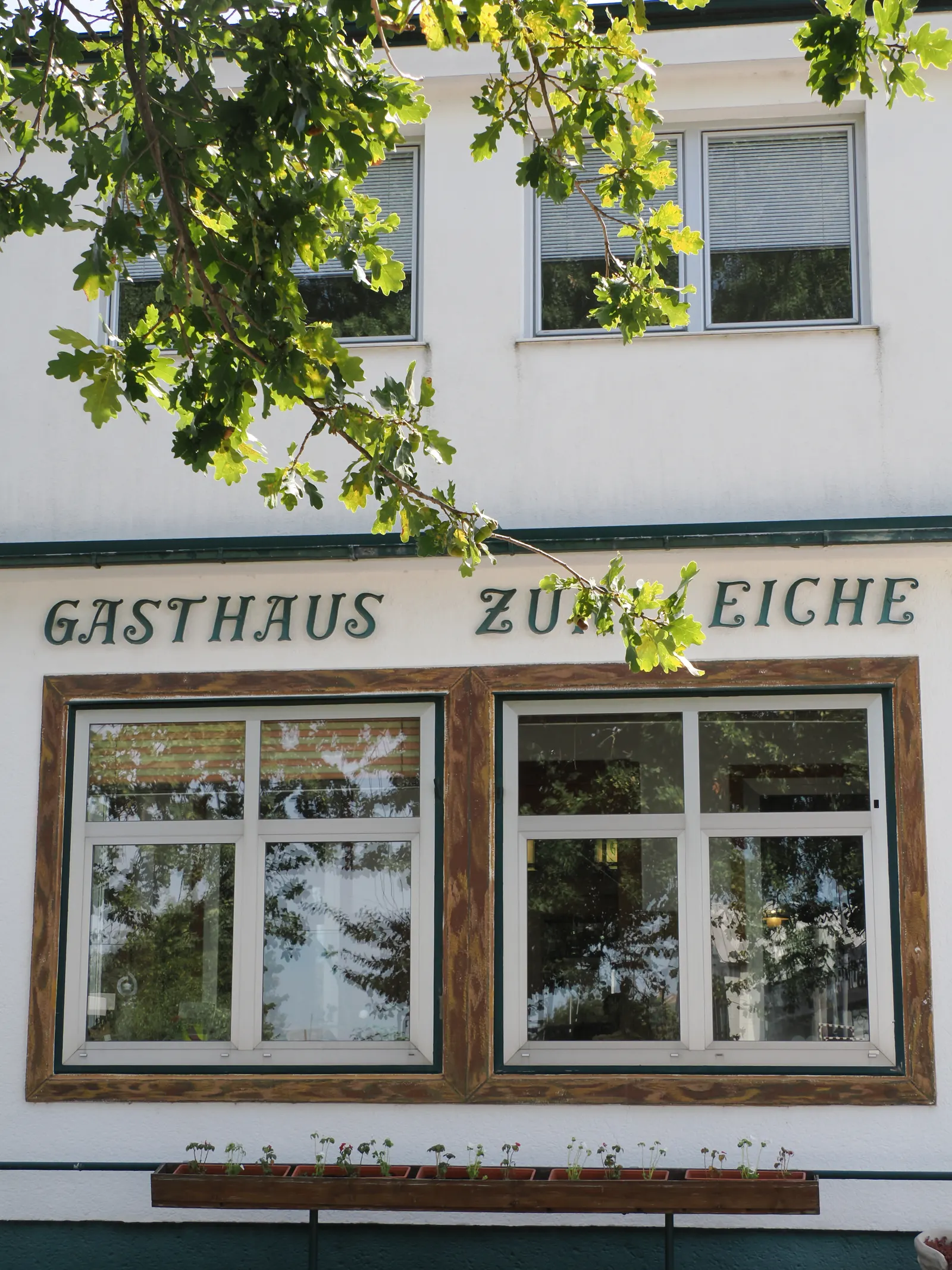 Gasthaus zur Eiche in Wittau
